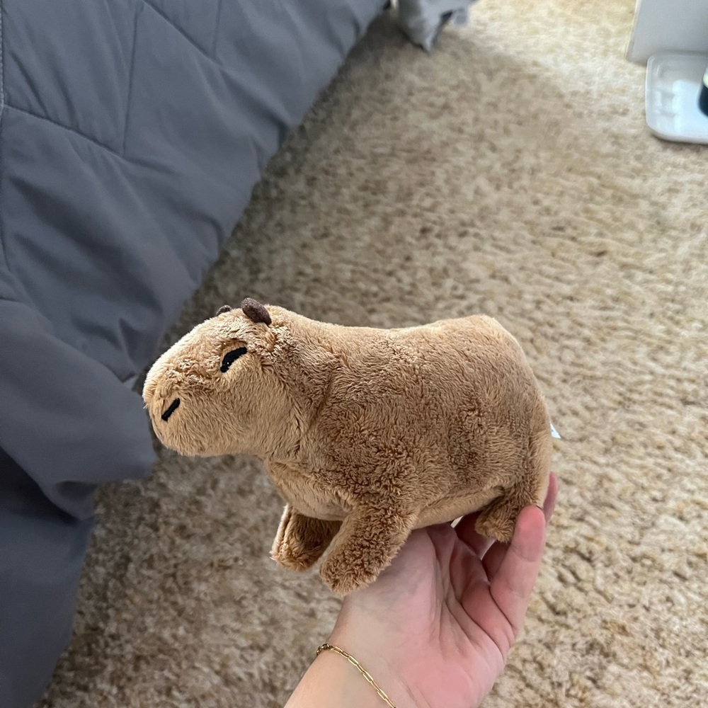 capybara plushy